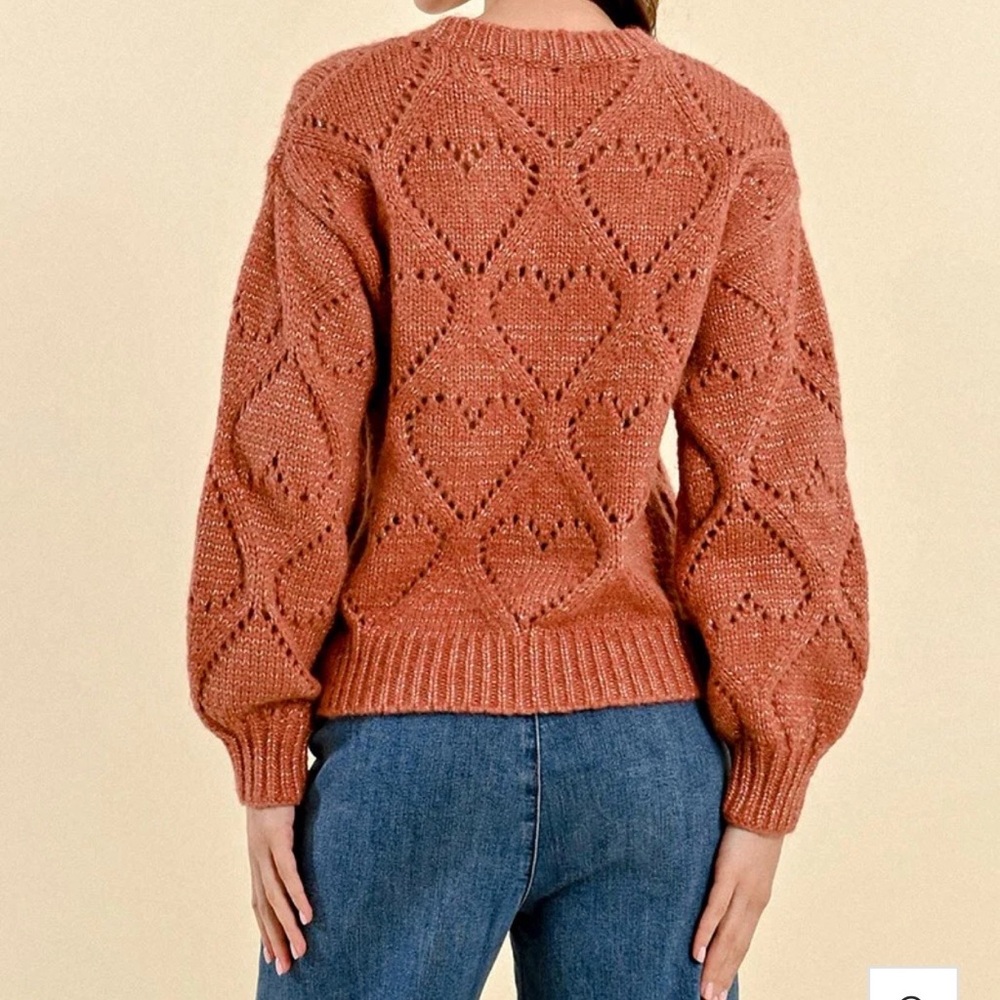 Molly Bracken OPENWORK POINTELLE KNIT AND LUREX SWEATER  XL Terracotta - Picture 5 of 12